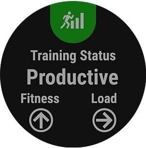 vo2 Đồng hồ thể thao Multi-Sport GPS Garmin fenix 5 Sapphire (Đen, 47mm) - YCB.vn