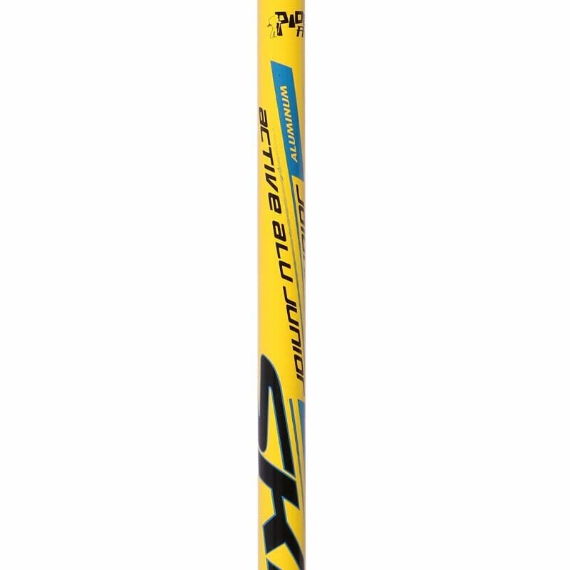 gay leo nui chong soc Pioneer PL-04 20