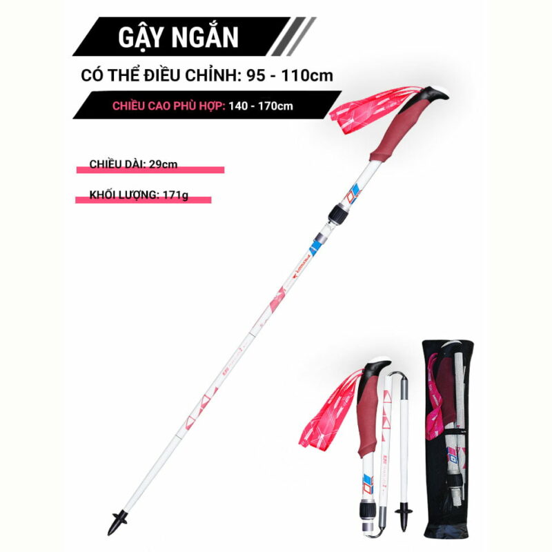 gay_leo_nui_gap_carbon_pioneer_peakelves_2_005